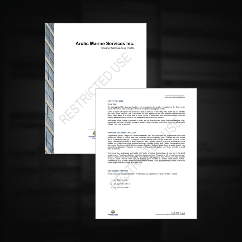 confidential comprehensive business profile documents